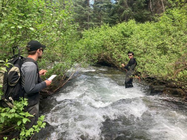 Understanding Brook Trout Invasions In Idaho High Country Bull Trout ...